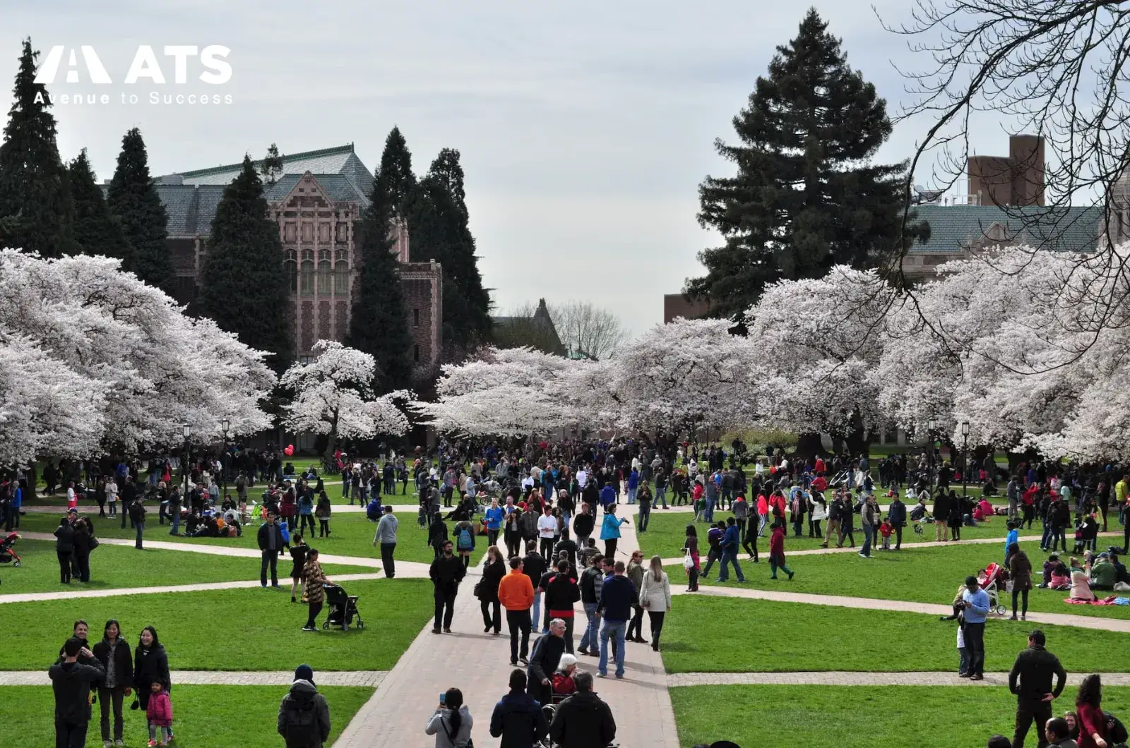 Điểm mạnh của UW l&agrave; chương tr&igrave;nh học thi&ecirc;n về tư duy ph&acirc;n t&iacute;ch, chuẩn học thuật cao v&agrave; y&ecirc;u cầu sinh vi&ecirc;n chủ động