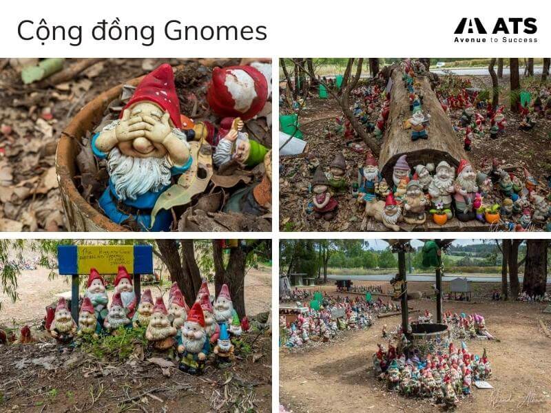 Cộng đồng dành riêng cho Gnomes - những chú quỷ lùn