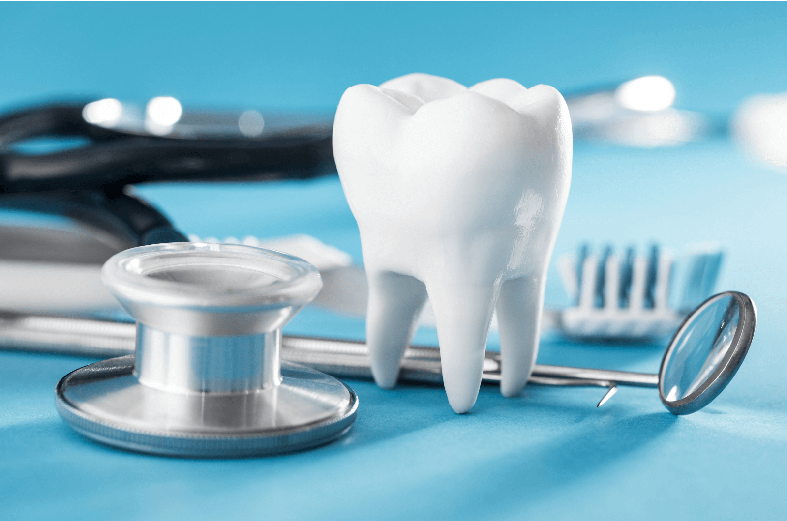 Sinh viên quốc tế nên chuẩn bị hồ sơ trước 1 năm để có thể nhập học đúng dự định