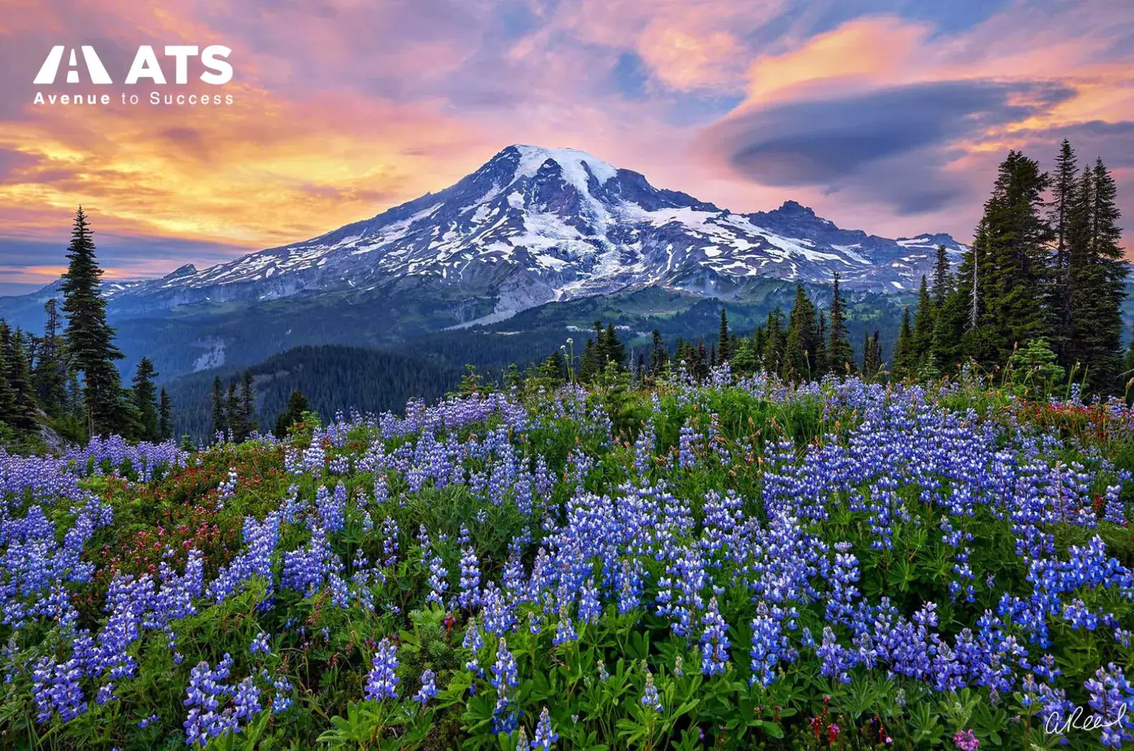 Một điểm cần chuẩn bị trước l&agrave; thời tiết ở ph&iacute;a T&acirc;y Washington thường m&aacute;t v&agrave; c&oacute; mưa nhiều, n&ecirc;n bạn n&ecirc;n l&ecirc;n kế hoạch trang phục ph&ugrave; hợp