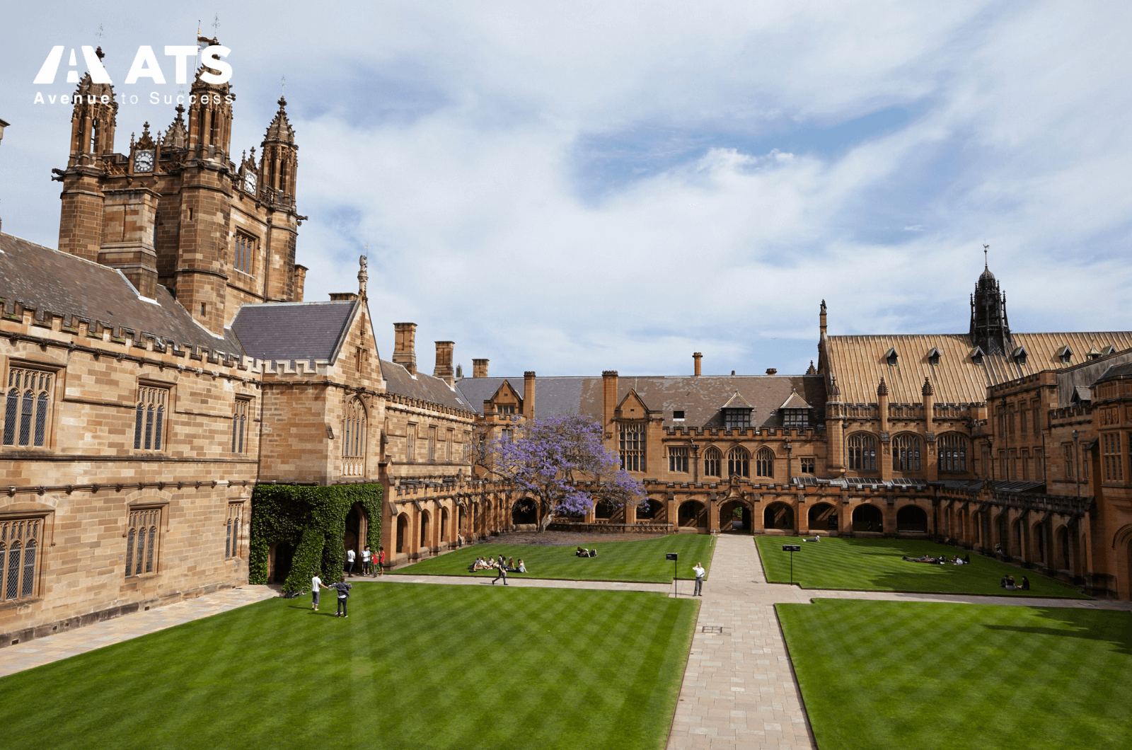 Đại học Sydney có xếp hạng cao về đào tạo các ngành giáo dục nói chung và giáo dục mầm non tại Úc nói riêng