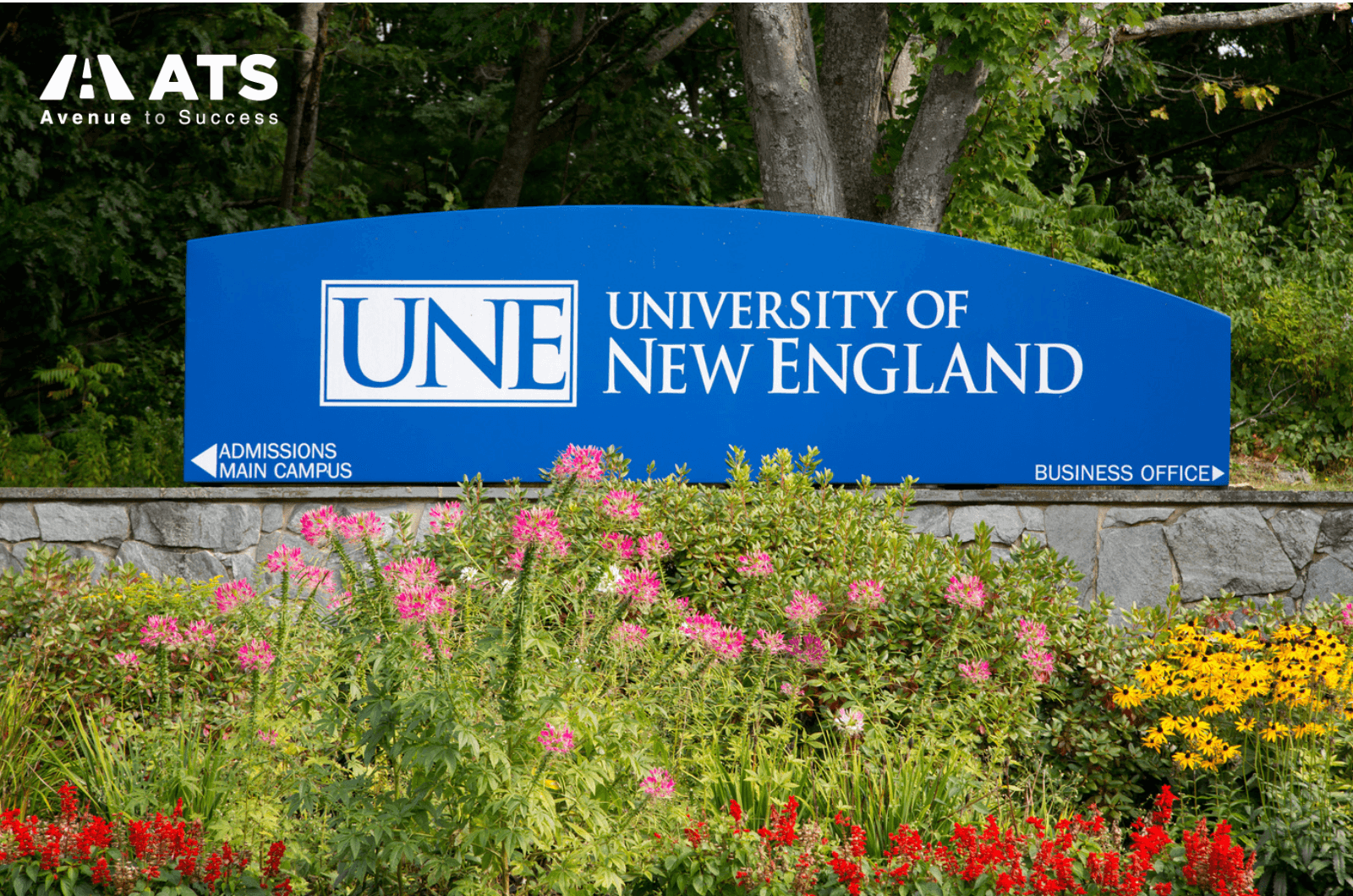 UNE có nhiều lựa chọn ngành học linh hoạt cho sinh viên du-hoc-uc-re4