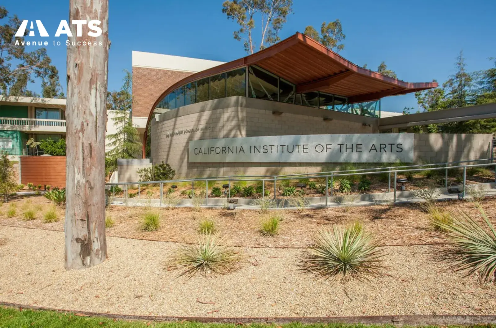 CalArts tập trung mạnh v&agrave;o storytelling v&agrave; phong c&aacute;ch c&aacute; nh&acirc;n