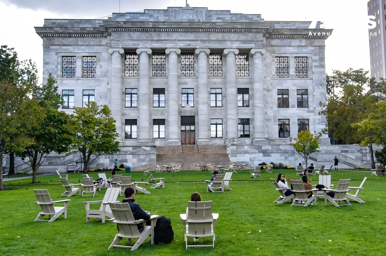 Sinh vi&ecirc;n phải theo học Medical School (MD hoặc DO), sau đ&oacute; chuy&ecirc;n s&acirc;u v&agrave;o phẫu thuật tạo h&igrave;nh, da liễu hoặc c&aacute;c nh&aacute;nh thẩm mỹ y khoa