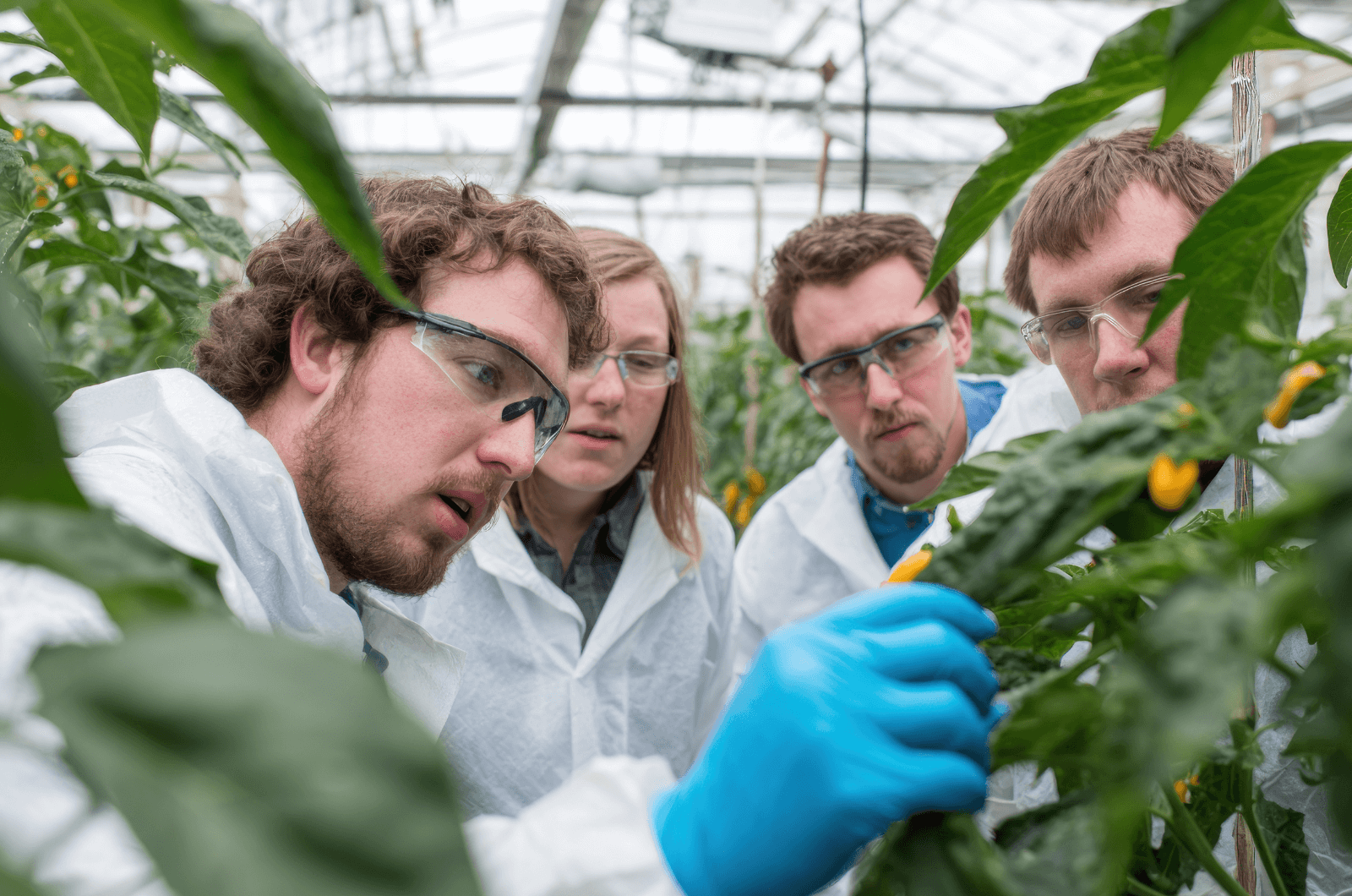 Du học sinh ngành Nông nghiệp tại Úc được đào tạo cân bằng giữa lý thuyết và thực hành nên sau khi tốt nghiệp, sinh viên dễ dàng hòa nhập thị trường lao động