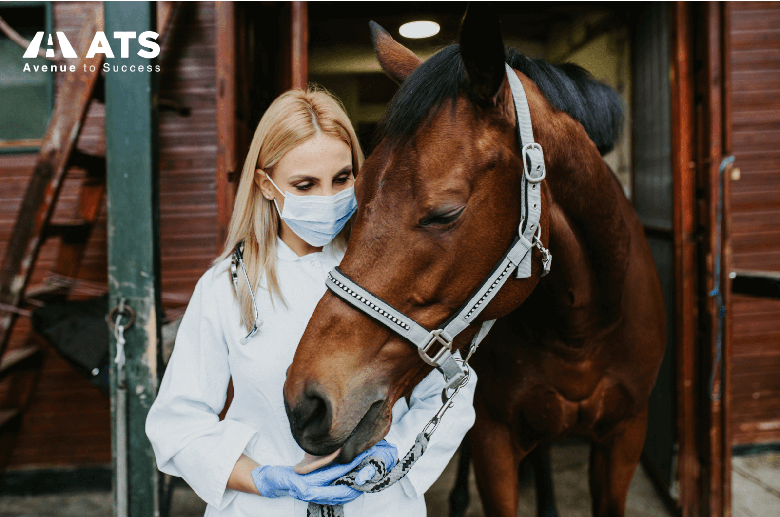 Nhiều trường (đặc biệt là nhóm top) khuyến khích mạnh hoặc yêu cầu bạn chứng minh đã có kinh nghiệm tiếp xúc với động vật