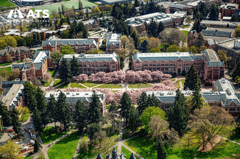 University of Washington Seattle campus với hoa anh đ&agrave;o