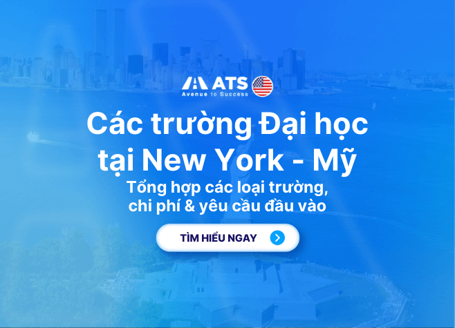 Các Trường Đại Học Tại New York, Mỹ