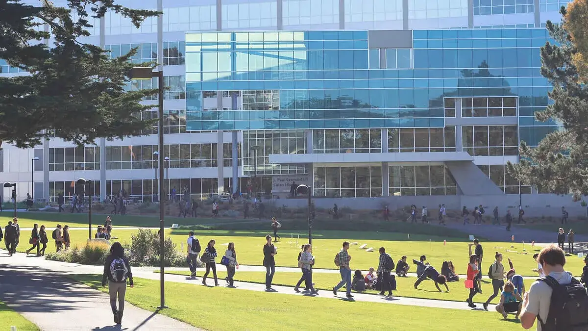 School media preview