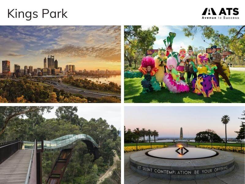Kings Park, công viên trong thành phố lớn nhất thế giới toạ lạc tại thành phố Perth