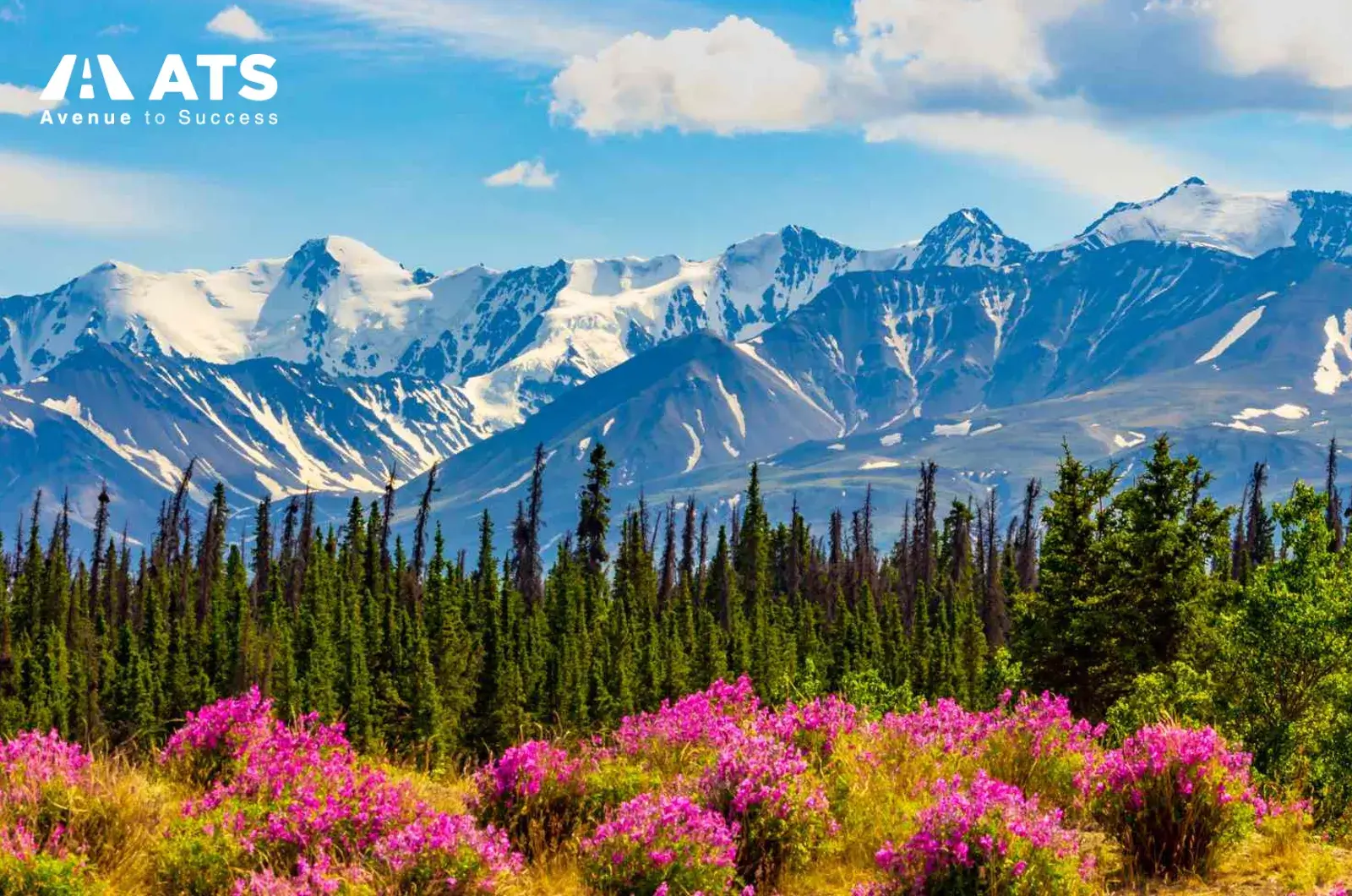 Canada c&oacute; 3 v&ugrave;ng l&atilde;nh thổ: Yukon, Northwest Territories v&agrave; Nunavut. Đ&acirc;y l&agrave; c&aacute;c khu vực d&acirc;n cư thưa, kh&iacute; hậu lạnh v&agrave; &iacute;t trường đại học, n&ecirc;n &iacute;t phổ biến với du học sinh.