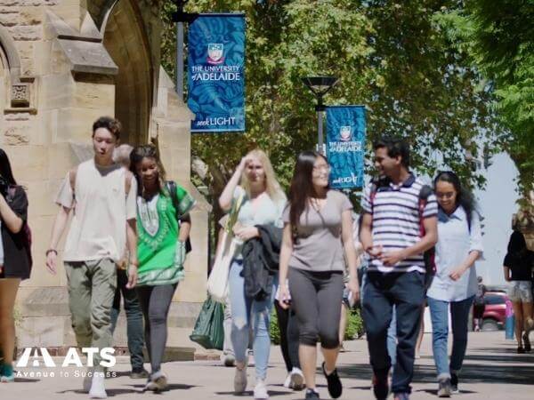 Nhiều sinh viên lựa chọn theo học tại University of Adelaide